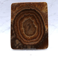 Aragonite Dish