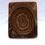 Aragonite Dish