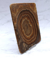 Aragonite Dish