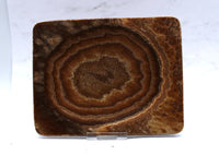 Aragonite Dish