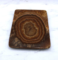 Aragonite Dish