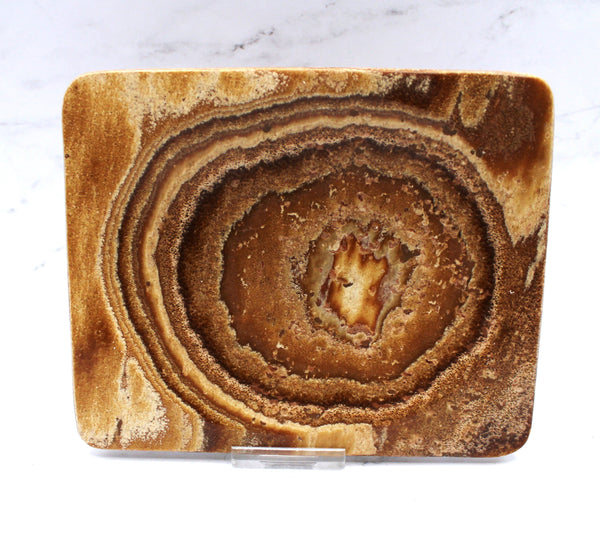 Aragonite Dish