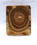 Aragonite Dish