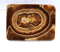 Aragonite Dish