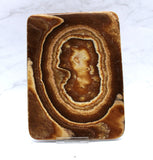 Aragonite Dish