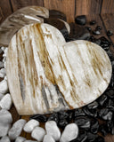 Petrified Wood Hearts