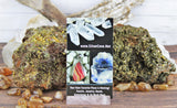 Wulfenite Specimens in Matrix