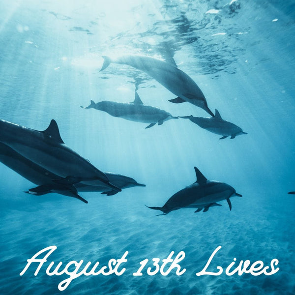15593 August 13th Lives 2022