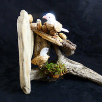 Bird Watching Ornament