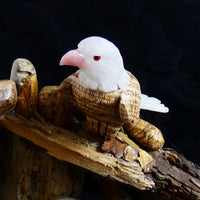 Bird Watching Ornament