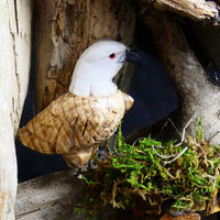 Bird Watching Ornament