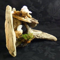 Bird Watching Ornament