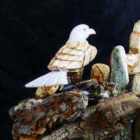 Bird Watching Ornament