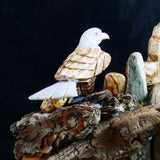 Bird Watching Ornament