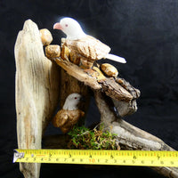 Bird Watching Ornament