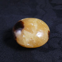 Septarian Nodule
