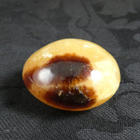Septarian Nodule