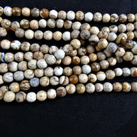 Picture Jasper Bead Strands (6mm round)