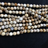 Picture Jasper Bead Strands (6mm round)