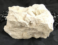 Fossilized Shells & Imprints in Crystallized Matrix