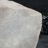 Genuine Dinosaur Bone