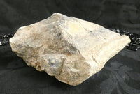 Genuine Dinosaur Bone