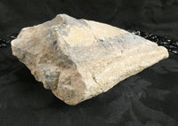 Genuine Dinosaur Bone