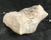Genuine Dinosaur Bone