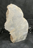 Genuine Dinosaur Bone