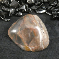 Polished California Petrified Wood (Various)