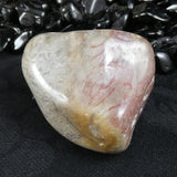 Polished California Petrified Wood (Various)