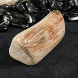 Polished California Petrified Wood (Various)