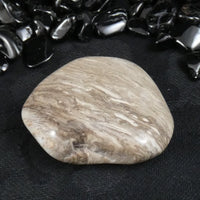 Polished California Petrified Wood (Various)