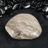 Polished California Petrified Wood (Various)