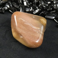 Polished California Petrified Wood (Various)
