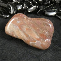 Polished California Petrified Wood (Various)