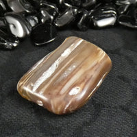Polished California Petrified Wood (Various)