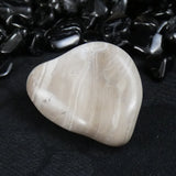 Polished California Petrified Wood (Various)