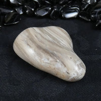 Polished California Petrified Wood (Various)