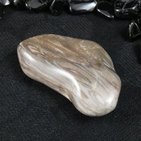 Polished California Petrified Wood (Various)