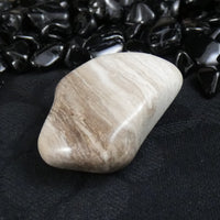 Polished California Petrified Wood (Various)