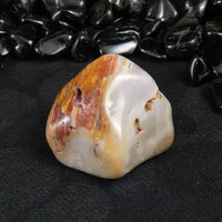 Polished California Petrified Wood (Various)