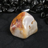 Polished California Petrified Wood (Various)
