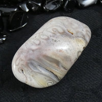 Polished California Petrified Wood (Various)