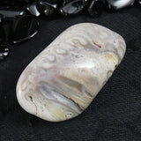Polished California Petrified Wood (Various)