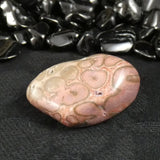 Polished California Petrified Wood (Various)
