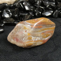 Polished California Petrified Wood (Various)
