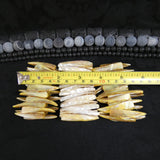 Light Yellow Mother of Pearl Stretch Bracelets (Dyed) (Various)