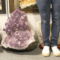 Large Brazilian Amethyst Cluster (Showpiece)