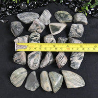 Tumbled Moody Green Jasper (5 Packs & Singles) (Various)